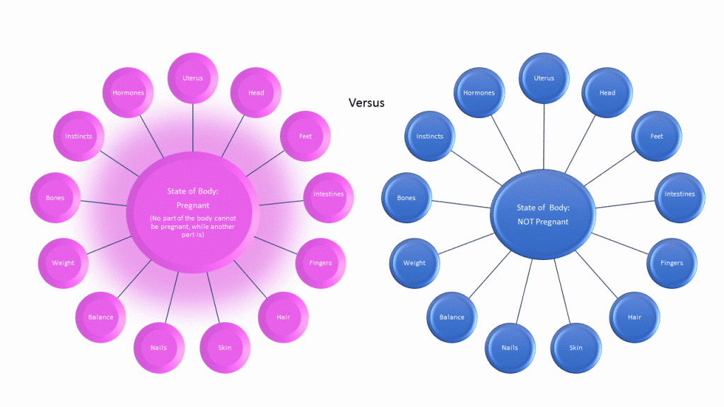 Pregnant or not pregnant illustration c-selective focus 4-2017-slide 2